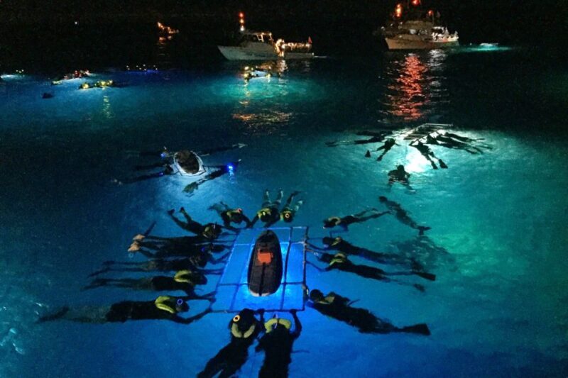 Kailua Kona: Night Manta Ray Adventure on the Big Island - The Sum Up