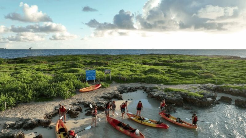 Kailua, Oahu: Popoia Island & Kailua Bay Guided Kayak Tour - Transport and Practical Considerations