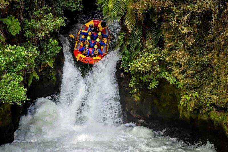 Kaituna River and Tutea Falls Whitewater Rafting - An Adventure You’ll Never Forget