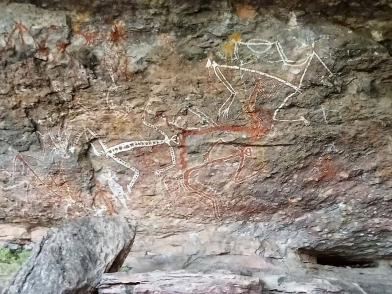 Kakadu Day Tour: Private, Yellow Water, Nourlangie, Ubirr - An In-Depth Look at the Kakadu Day Tour