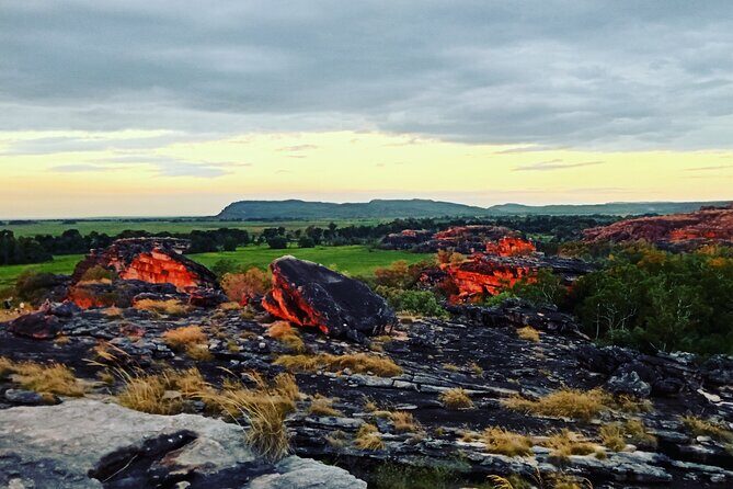 Kakadu Day Tour-Yellow Water-Nourlangie-Ubirr-Cahills-Fogg Dam - The Highlights and Why They Matter
