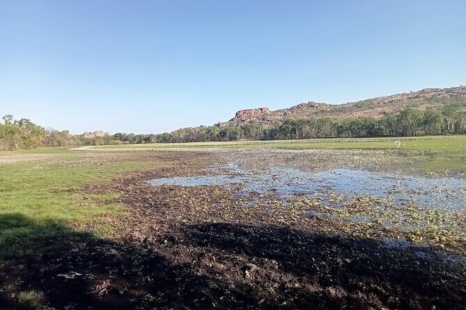 Kakadu Day Tour-Yellow Water-Nourlangie-Ubirr-Cahills-Fogg Dam - Who Should Consider This Tour?