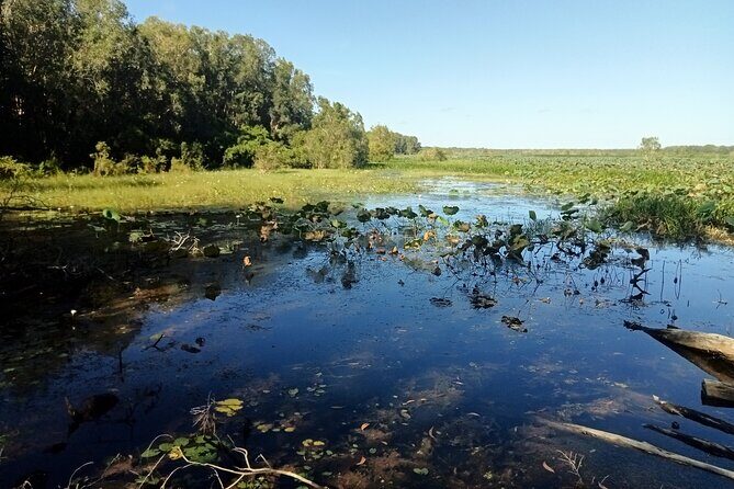 Kakadu Day Tour-Yellow Water-Nourlangie-Ubirr-Cahills-Fogg Dam - Final Thoughts