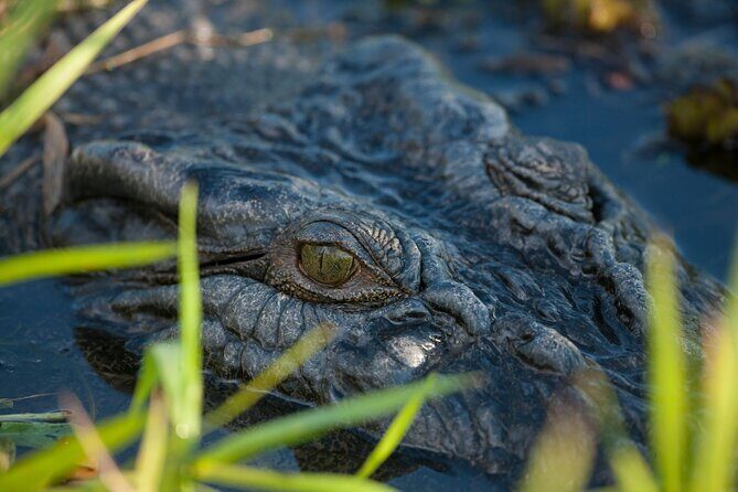 Kakadu National Park Evening Tour + Yellow Water Sunset Cruise - Transport, Comfort, and Practicalities