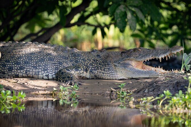 Kakadu National Park Evening Tour + Yellow Water Sunset Cruise - FAQ