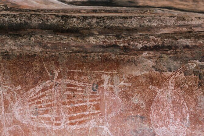 Kakadu National Park Full Day Tour + 2 Hour Cultural River Cruise - A Detailed Look at the Tour