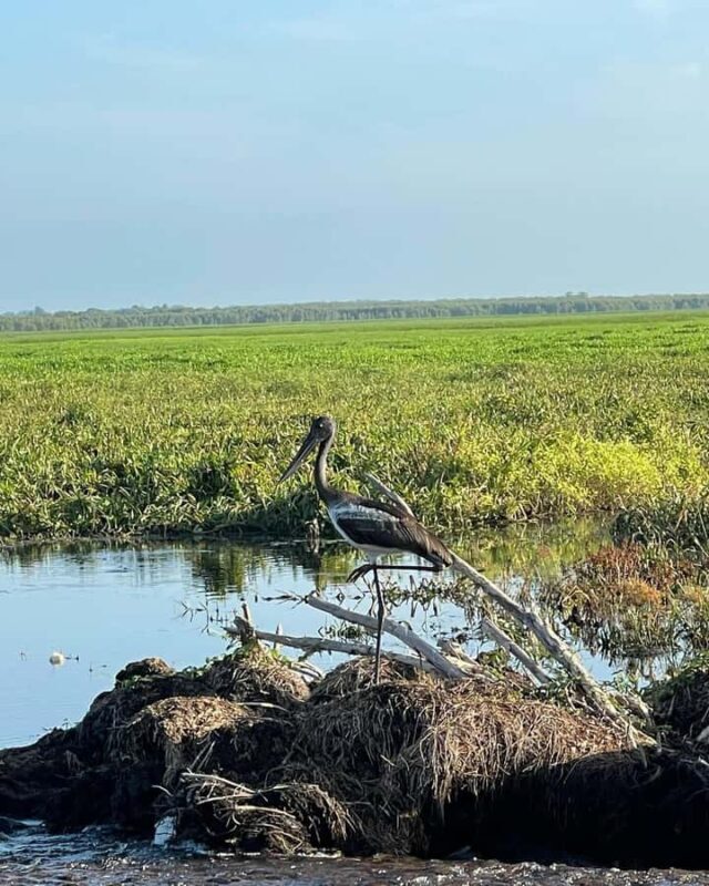 Kakadu VIP Backpackers - FAQ