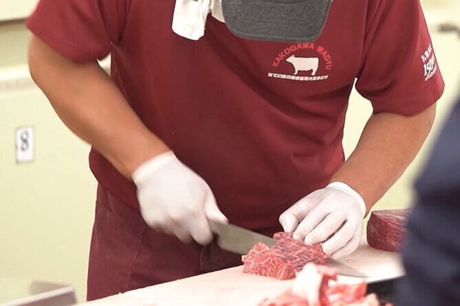 Kakogawa Wagyu Cuture Experience including Kobe Beef Shabu Shabu - Experience the World of Kakogawa Wagyu with a Hands-On Tour