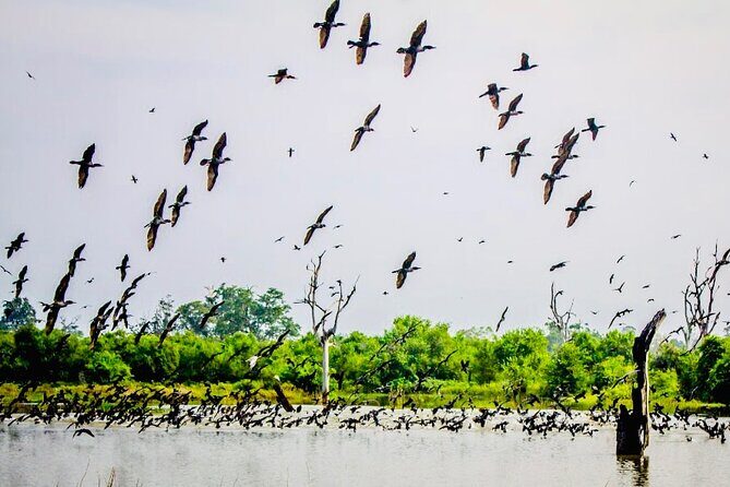 Kalametiya Bird Sanctuary Catamaran Bird Watching Tour - FAQ: Your Questions Answered