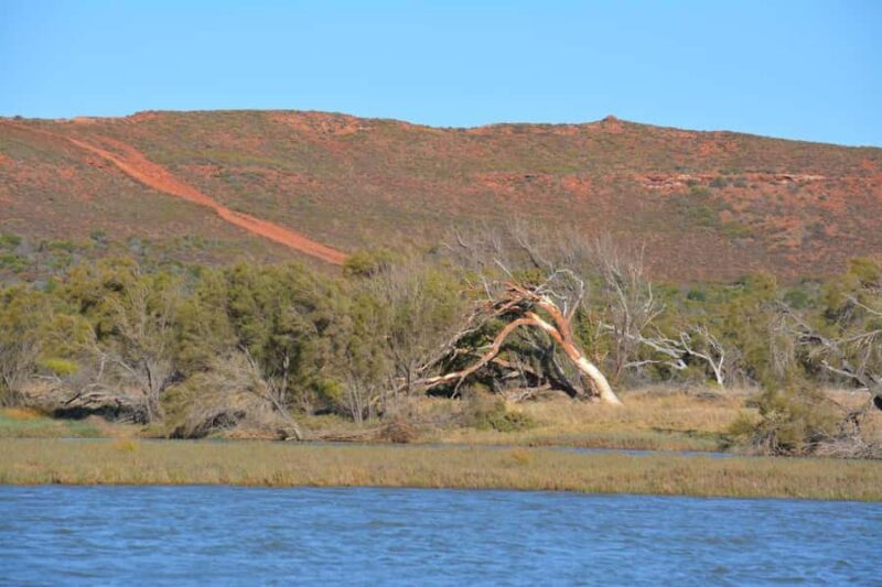 Kalbarri: Murchison River Morning Cruise - Booking and Practicalities