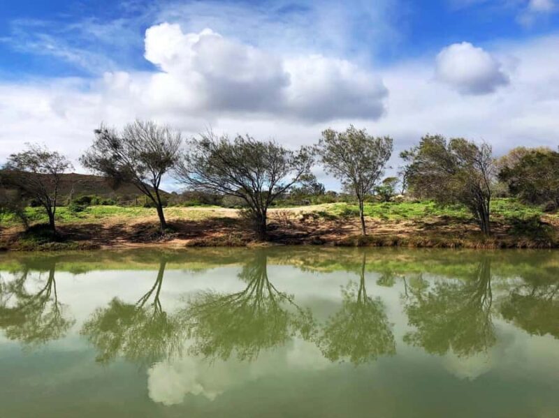 Kalbarri: Murchison River Wilderness Wildlife Cruise - Authentic Experiences and Real Travelers’ Reactions