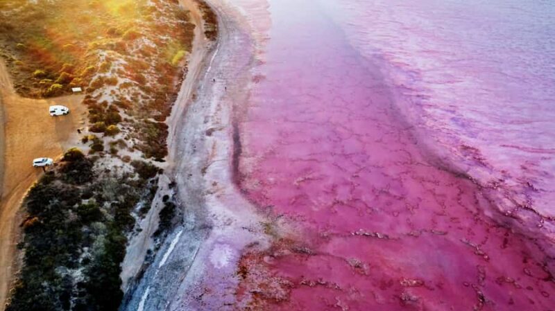 Kalbarri: Pink Lake and Coastal Cliffs Tour - Key Points