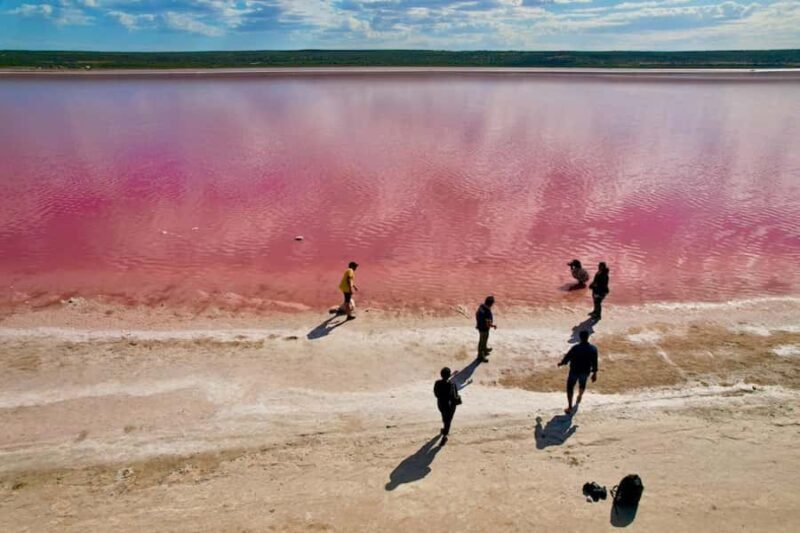 Kalbarri: Pink Lake and Coastal Cliffs Tour - Who Will Love This Tour?