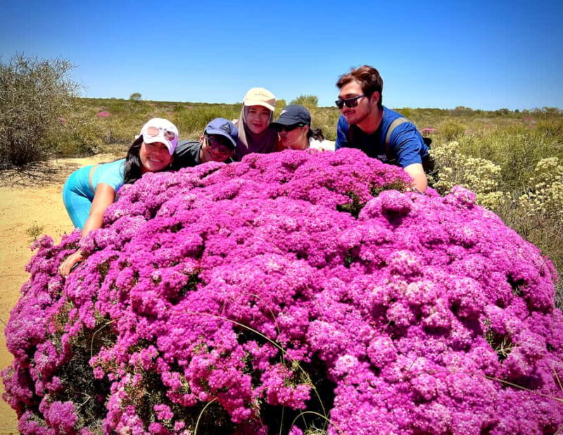 Kalbarri Wildflower Tour with Local Guide - Who Should Consider This Tour?