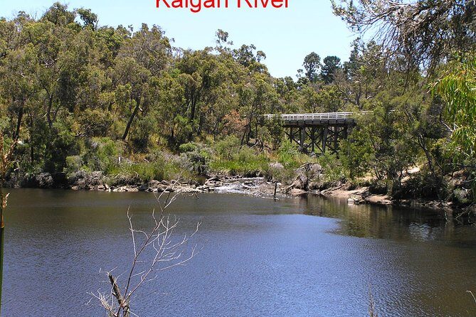 Kalgan Queen Scenic Cruises a four hour sheltered water wildlife tour daily fun. - Final Words