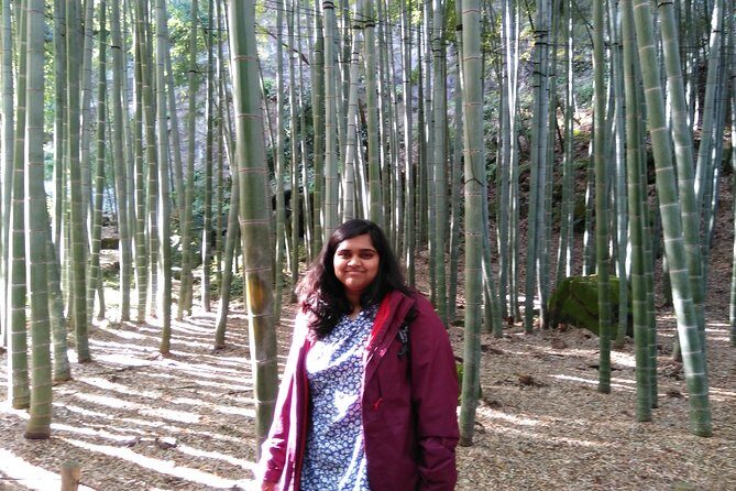 Kamakura 4hr Private Trip with Government-Licensed Guide - The Sum Up