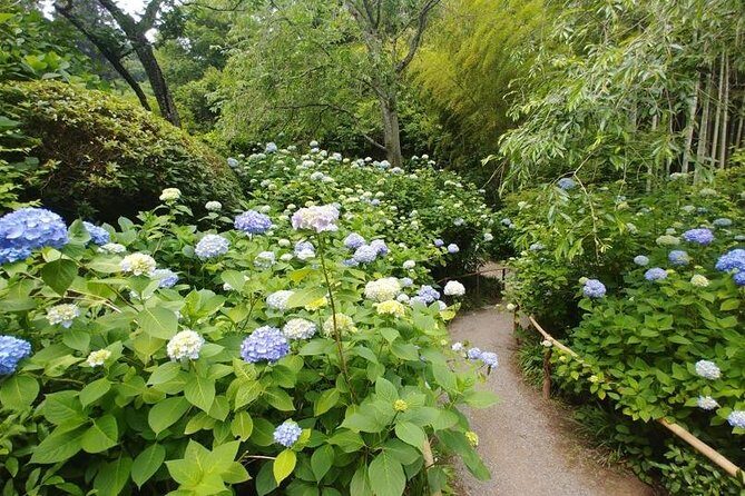 Kamakura and Eastern Kyoto with Lots of Temples and Shrines - What Travelers Are Saying