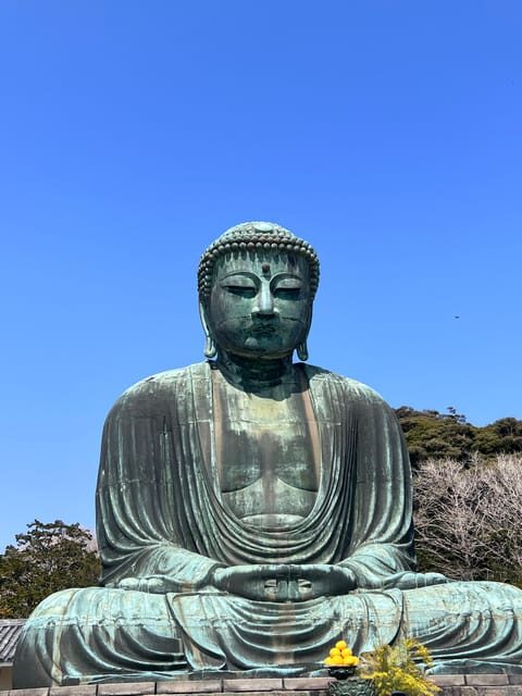 Kamakura and Enoshima: Private Guided Day Tour with Vehicle - Key Points