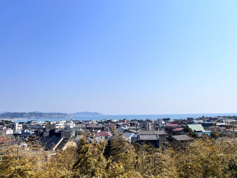 Kamakura and Enoshima: Private Guided Day Tour with Vehicle - Is This Tour Worth the Price?