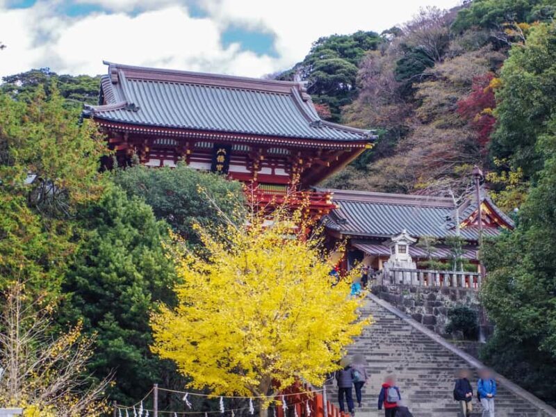 Kamakura: Customized Half-Day Tour with Professional Guide - Transportation and Timing