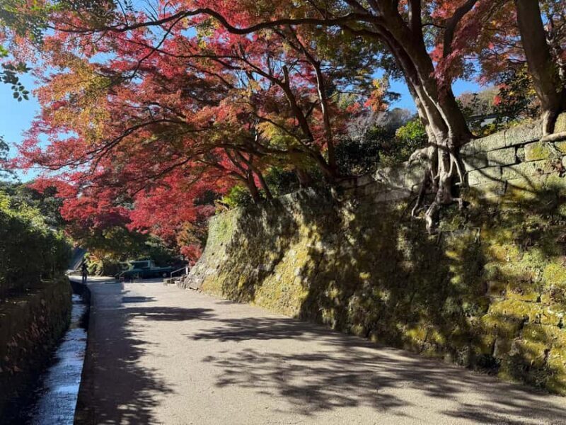 Kamakura: Customized Half-Day Tour with Professional Guide - Pricing and Value