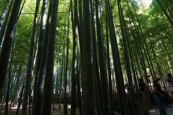 Kamakura Early Morning Tour (Tokyo Departure Option Available) - Authenticity and Value