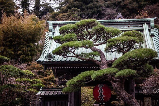 Kamakura English Guided Private Tour GREEN NUMBER PLATES - Key Points
