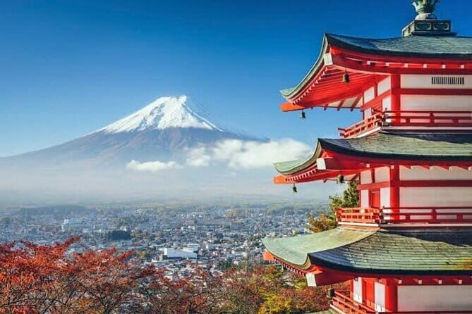 Kamakura Enoshima and Yokohama night view day Tour from Tokyo - Cost and Value: Is It Worth It?