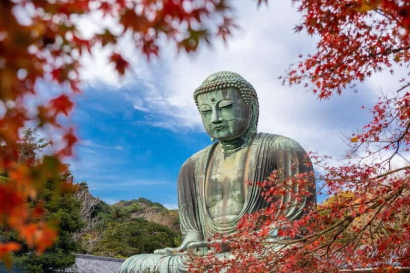 Kamakura : Full Day with local guide. - Lunch and the Tranquility of Hasedera