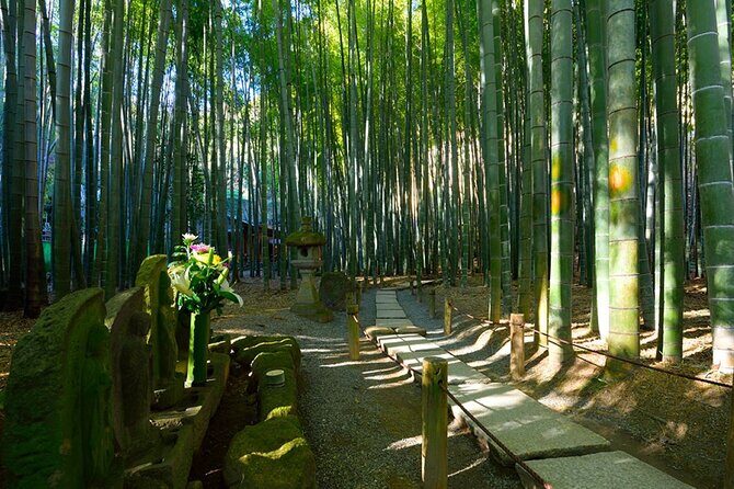 Kamakura Great Buddha & Yokohama tour with English Speaking Guide - Final Thoughts: Who Will Love This Tour?