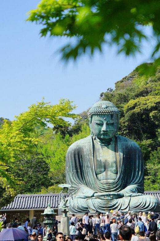 Kamakura Half Day Walking Tour with Local Experience - Introduction