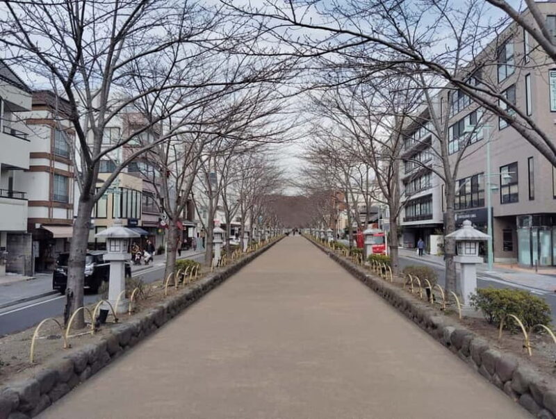 Kamakura Highlights Great Buddha Shrine and Enoden Ride - FAQ