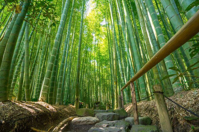 Kamakura Historical and Cultural Day Trip with Local Cuisine - What Travelers Say