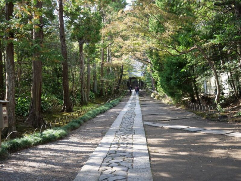 Kamakura Historical Walking Tour with the Great Buddha - Is This Tour Right for You?