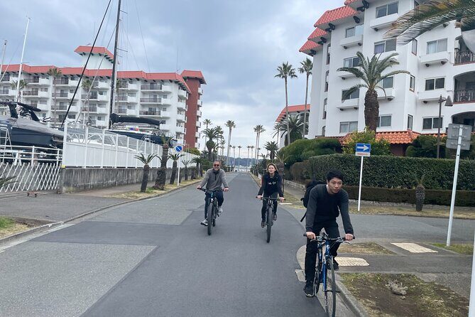 Kamakura Old Capital E-Bike Tour - Who Will Benefit Most?