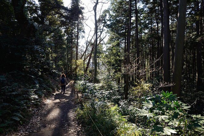 Kamakura One Day Hike Tour with Government-Licensed Guide - Why Choose This Tour?