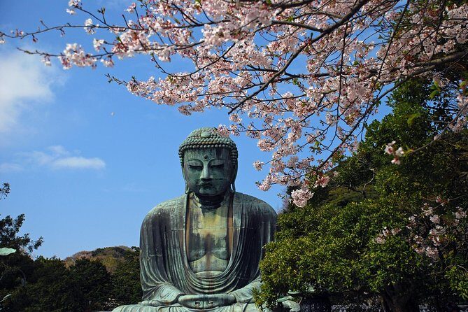 Kamakura Private Custom Tour - Key Points