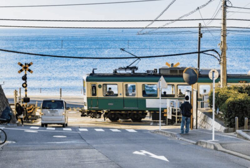 Kamakura Private Custom Tour with Local Guide - What to Expect During the Tour
