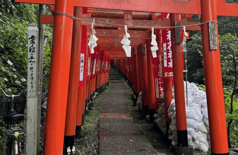 Kamakura Private Custom Tour with Local Guide - Final Thoughts: Is It Worth It?