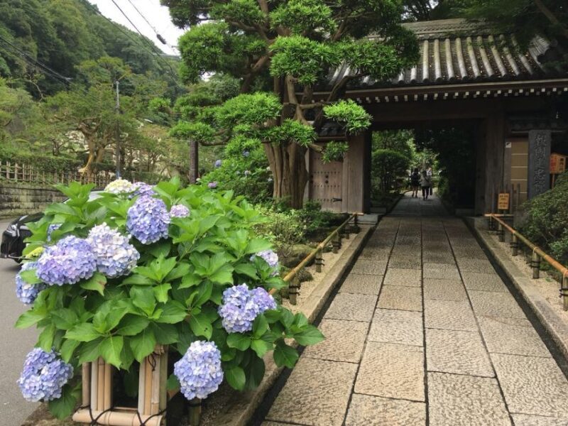 Kamakura: Private History and Heritage Tour by Rickshaw - Key Points