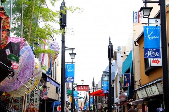 Kamakura Private Tour by Public Transportation - Practical Aspects and Value