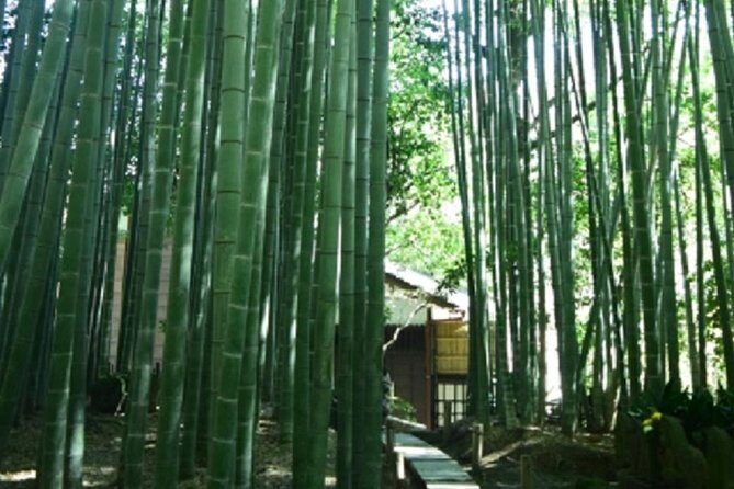Kamakura Private Tour by Public Transportation - FAQ