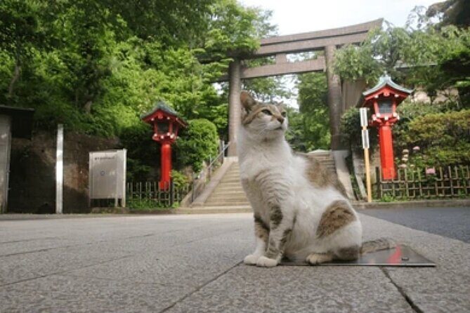 Kamakura Samurai Legends Shrines and the Great Buddha - The Experience: Authenticity and Personal Touch