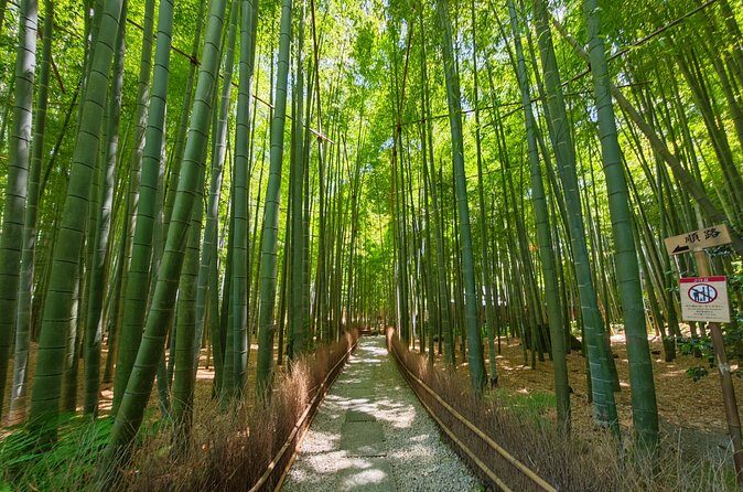 Kamakura Samurai Legends Shrines and the Great Buddha - Practical Considerations