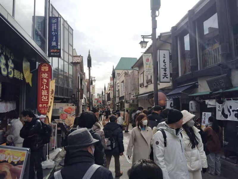Kamakura: Tsurugaoka Hachimangu & Komachi Street Tour - Analyzing the Value