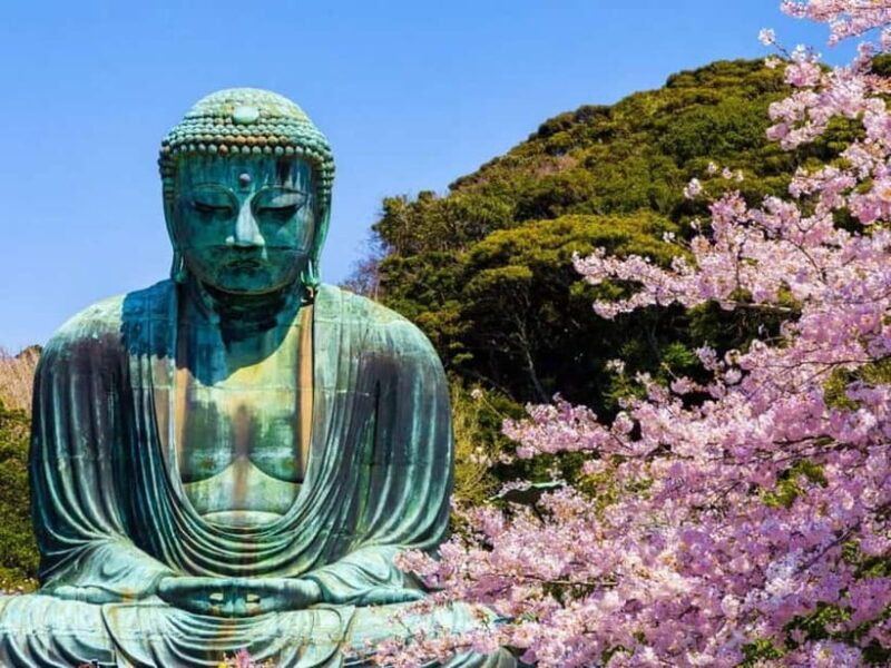 Kamakura Zen: Great Buddha, Nature, Bamboo & Samurai Culture - Exploring Kamakura’s Highlights