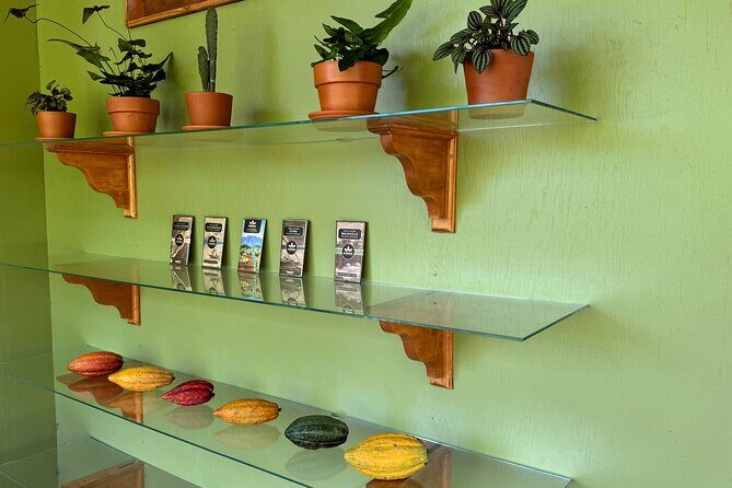 Kamananui Cacao Orchard Tour - A Closer Look at the Experience