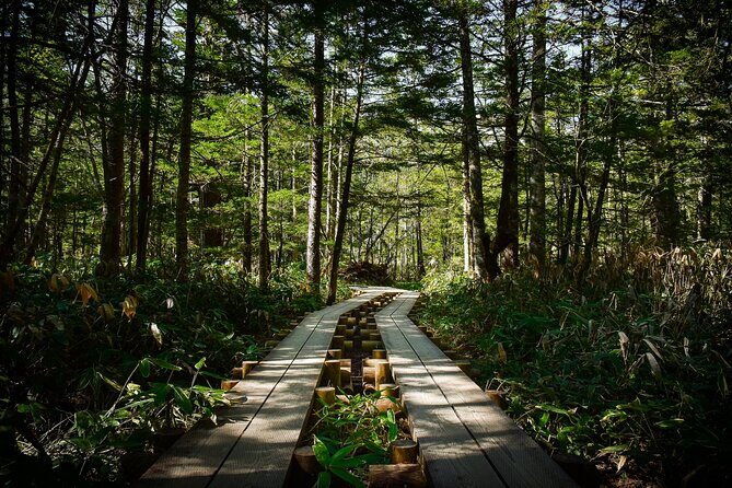 Kamikochi Private Summer Escape: Meet Wildlife in Pristine Nature - Why This Tour Offers Great Value