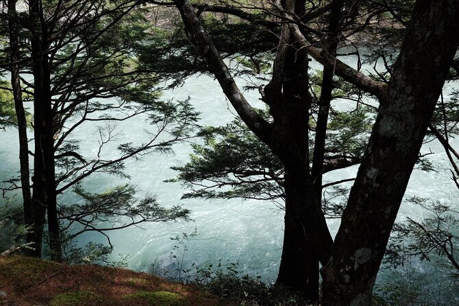 Kamikochi Private Summer Escape: Meet Wildlife in Pristine Nature - Who Will Love This Experience?