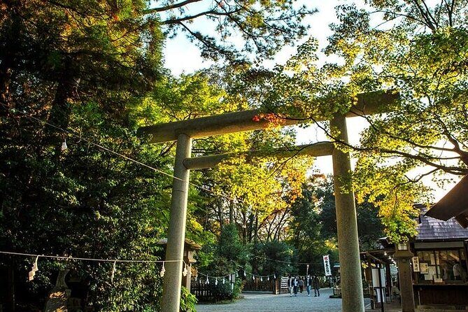 Kamishikimi Kumanoza Shrine, Amano Iwato Shrine & Takachiho Gorge - Final Thoughts: Who Should Consider This Tour?